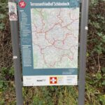 Terassenfriedhof Schönebeck